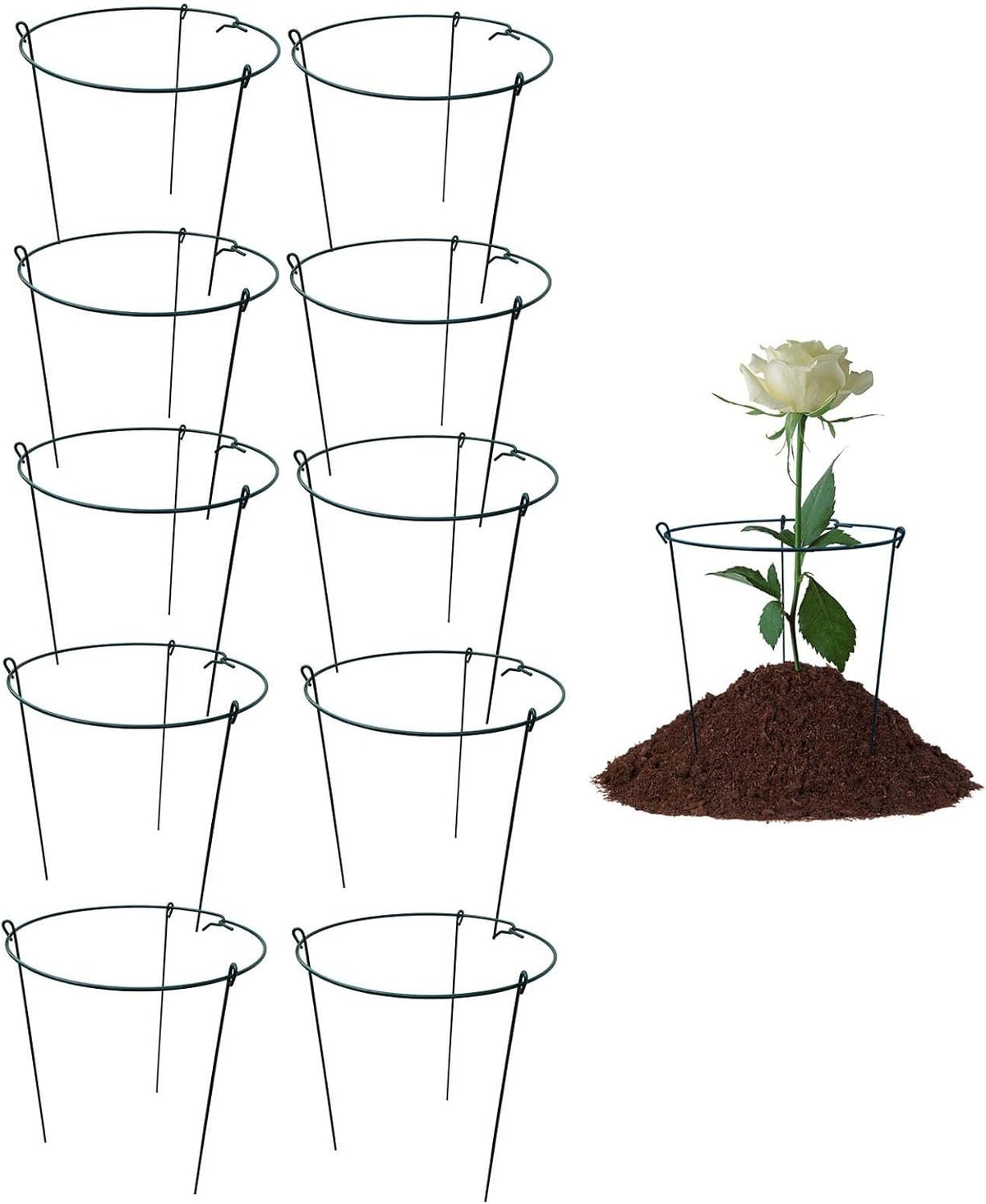 14" Wide x 24" High Peony Cage Rings Garden Plant Support Brace, Pack of 10 Round Metal Plant
