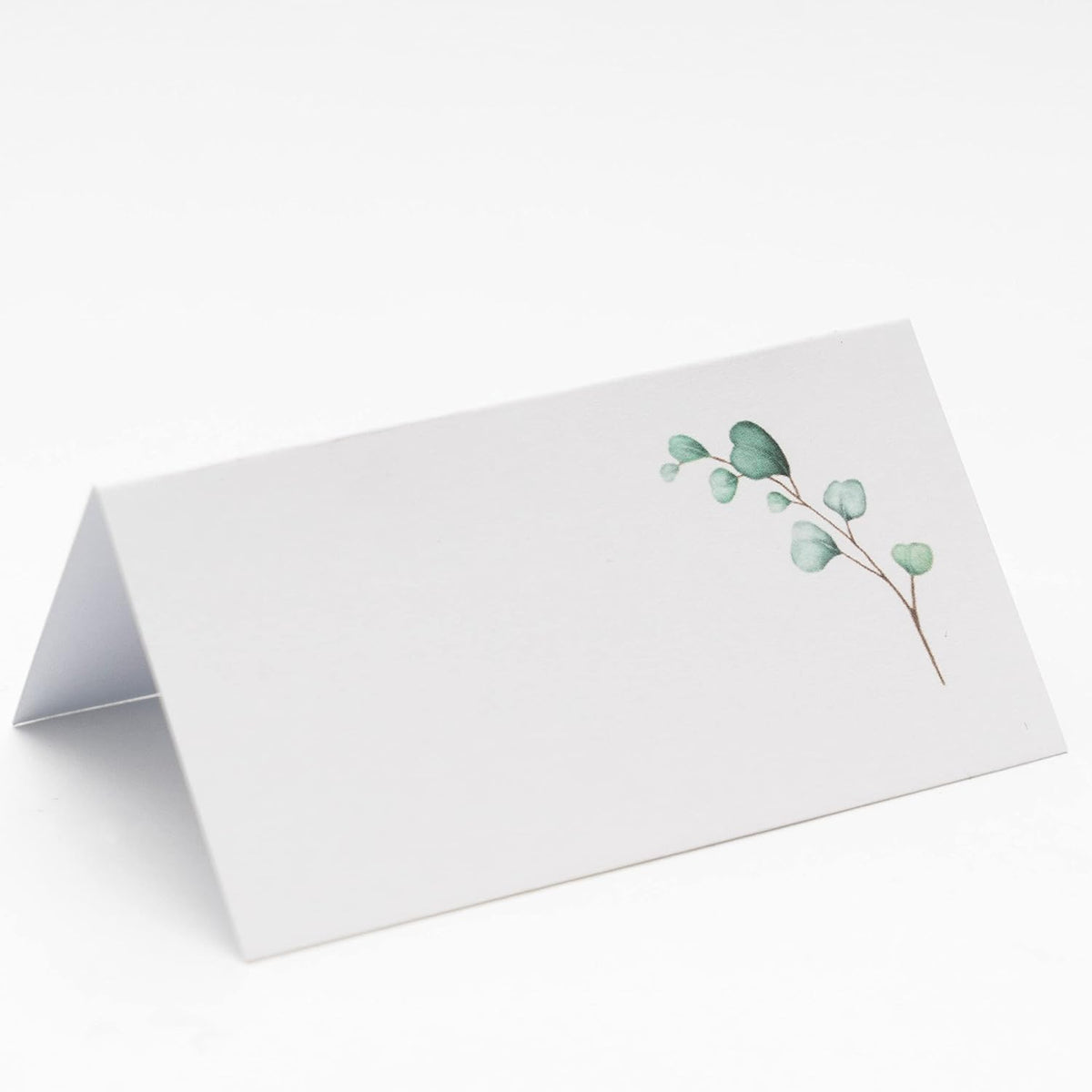 Watercolor Place Cards for Wedding or Party, Seating Place Cards for Tables, Scored for Easy