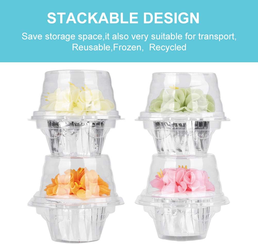 50 Pcs Cupcake Boxes Plastic Individual Cupcake Containers Single Cupcake Carrier with Connected