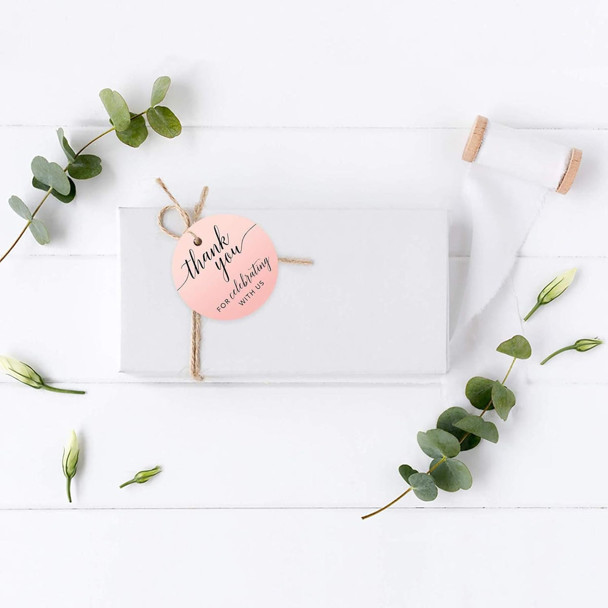 Andaz Press Blush Pink Rose Elegant Party Collection, Round Circle Tags, Thank You for Celebrating