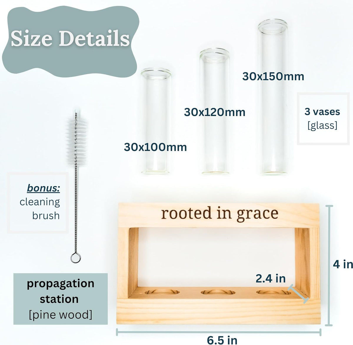 Rooted in Grace: Plant Propagation Stations: Plant Cutting Holder w/ 3 Glass Propagation Vases