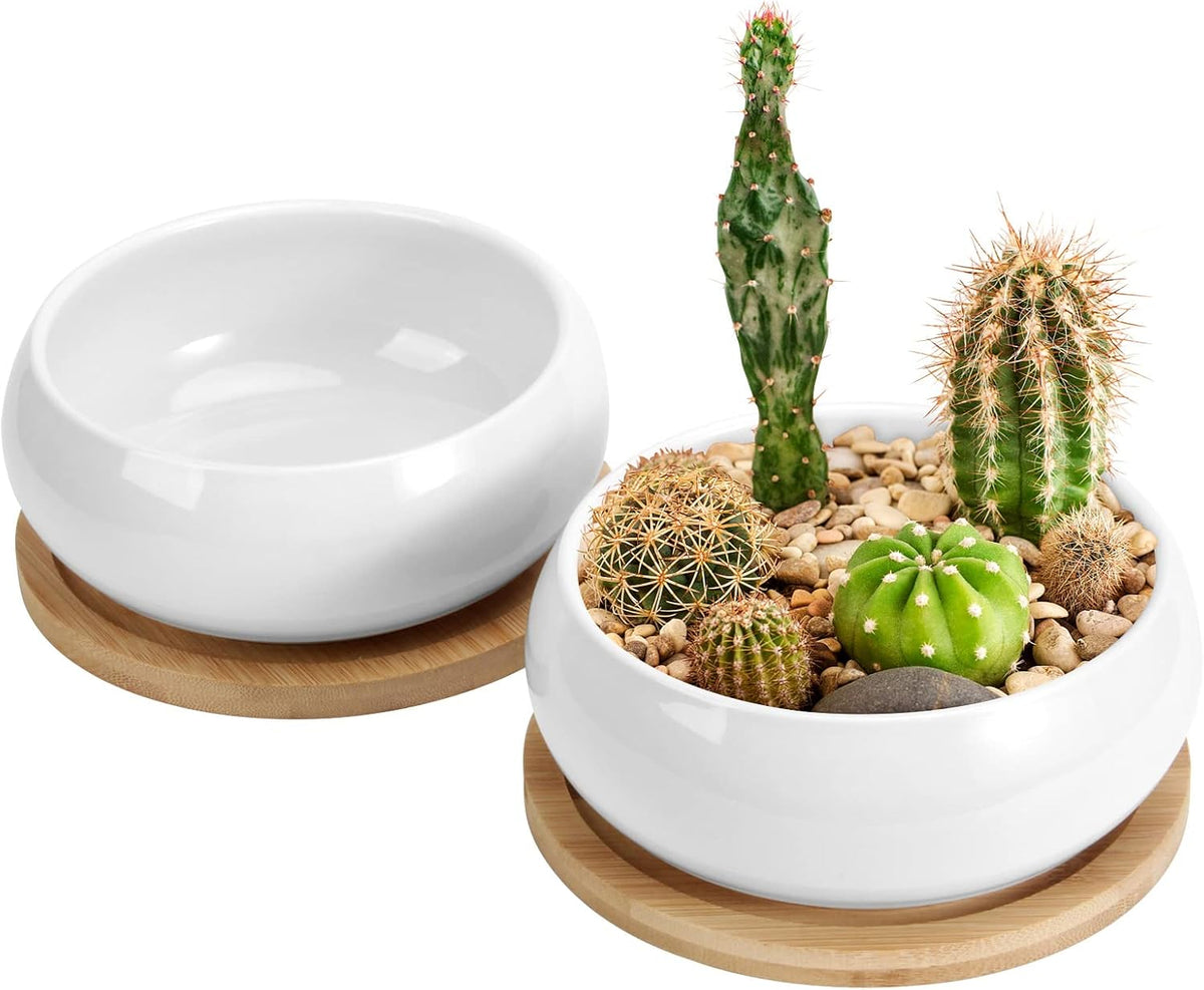ZOUTOG 2 Pack Succulent Pots, 6 inch Ceramic Planters for Indoor Plants with Bamboo Tray, Pots with