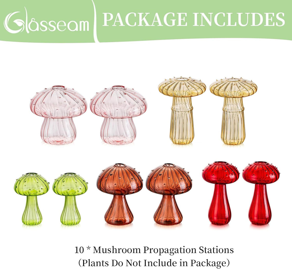 Glasseam Mushroom Planter Propagation Vase, Set of 10 Glass Terrariums for Plants, Cute Hydroponic