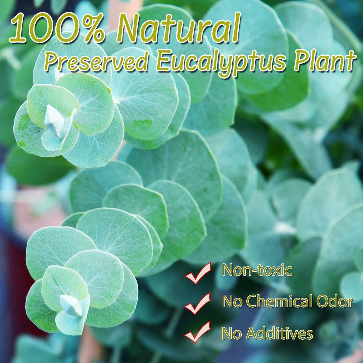 1600+Preserved Real Eucalyptus Leaves Small, Pure Natural Bulk Eucalyptus, Wedding Leaves Confetti