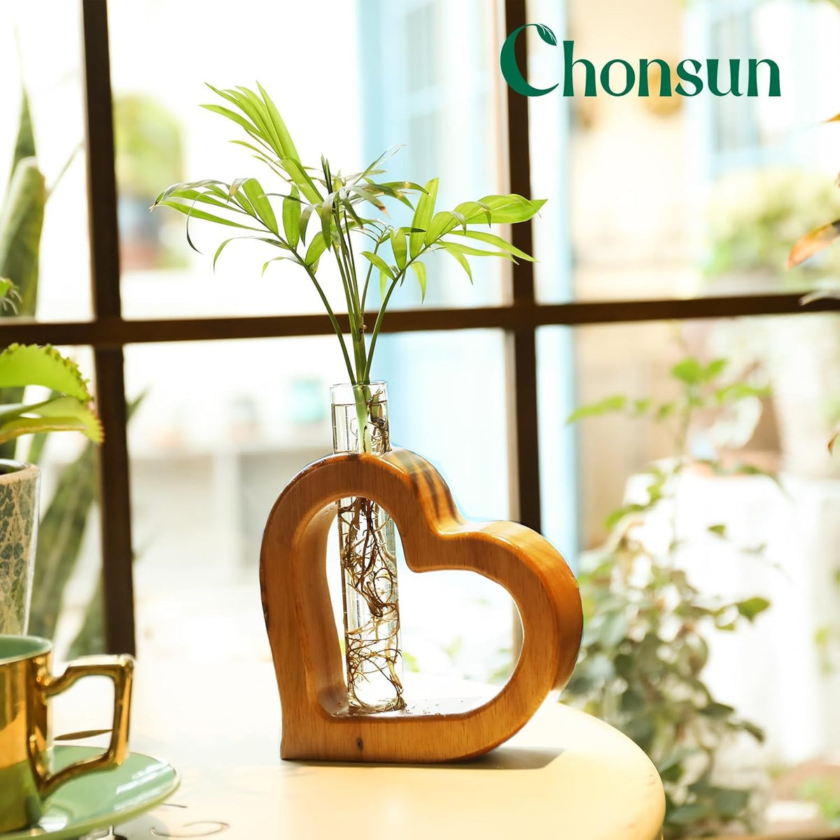Plant Propagation Stations Plant Terrariums Wall Hanging Planters Plants Stand Indoor with Glass