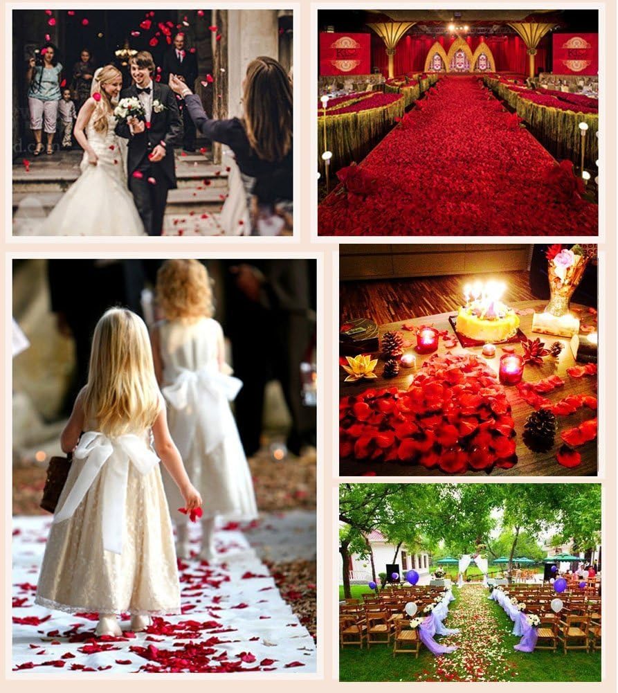 ocharzy 1000pcs Rose Petals Artificial Silk Flower Rose Petals for Wedding Decorations, Romantic