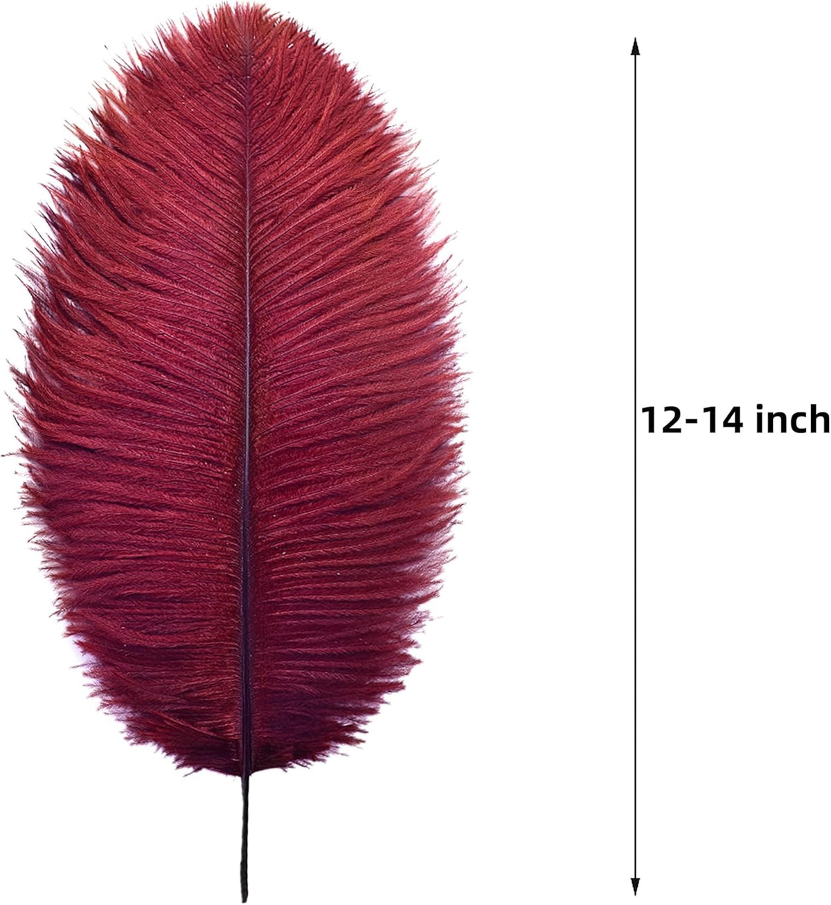 Ballinger Big Burgundy Ostrich Feathers - 24Pcs 12-14inch Wine Red Feathers for Party Centerpieces