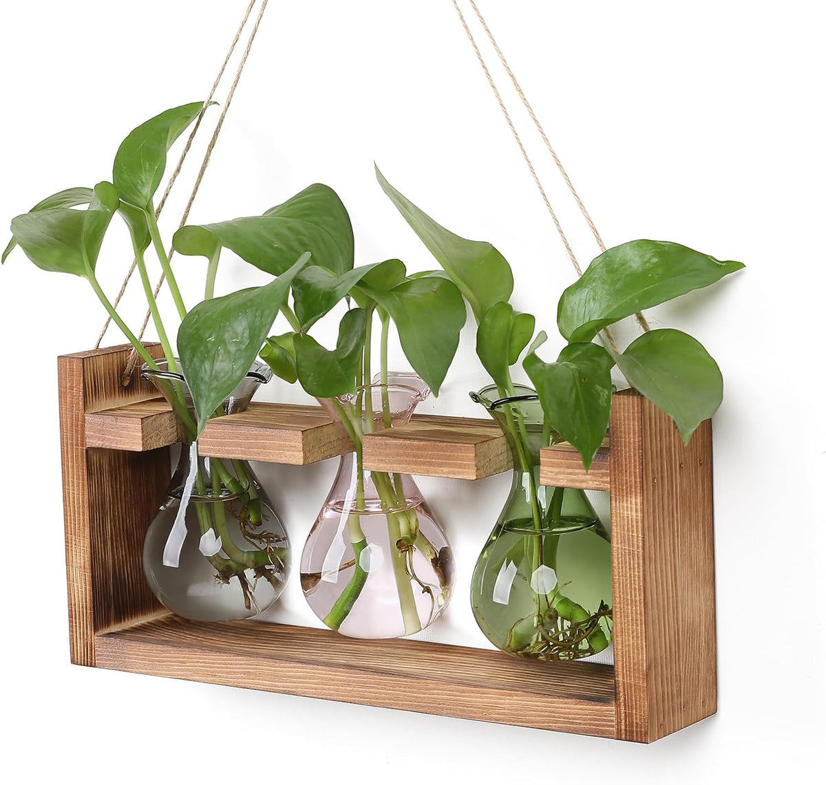 Plant Propagation Station Plant Terrarium Unique Birthday Gifts for Women Home Office Decor Planter