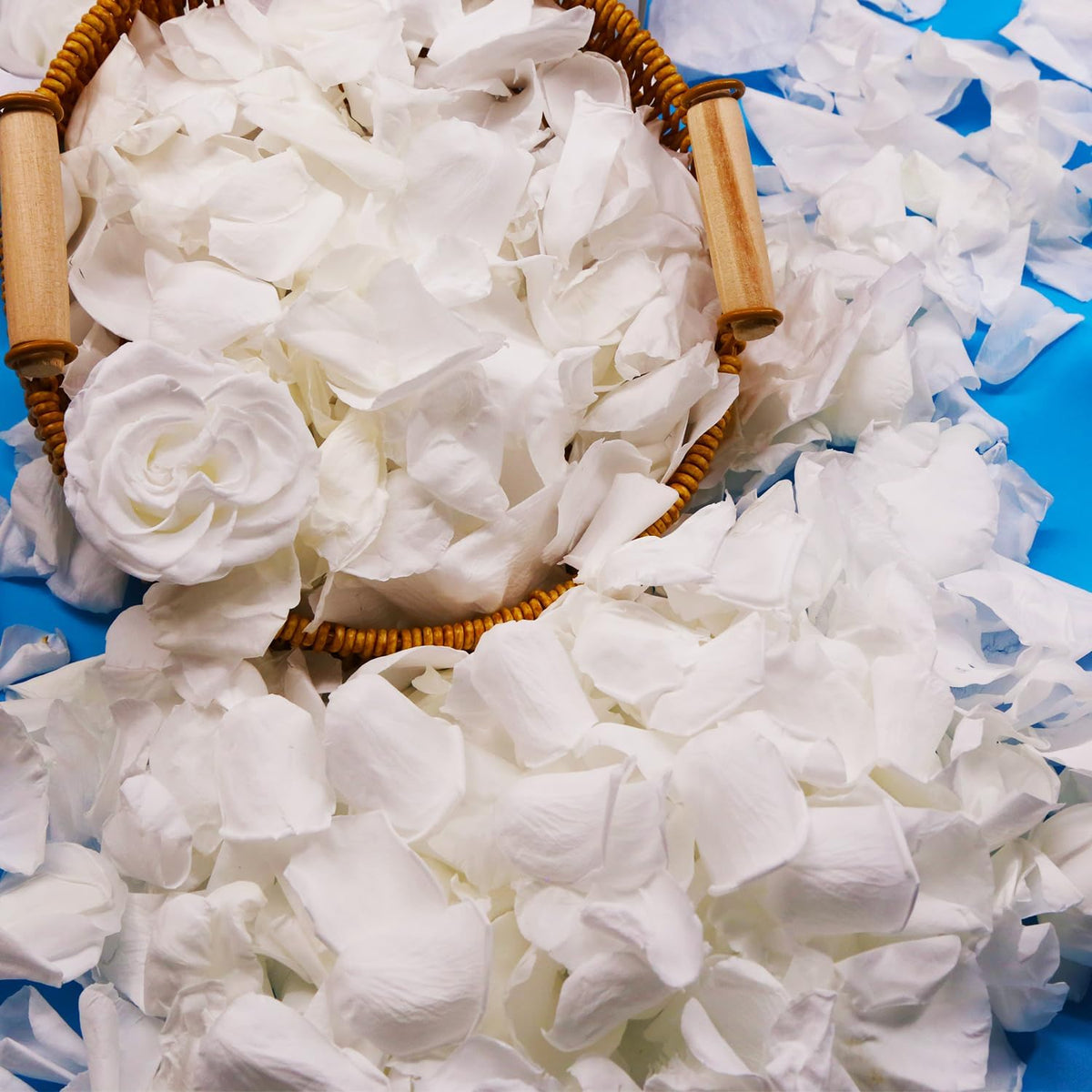 Dried Real White Rose Petals, Freeze Preserved Flower Petals 2.8 oz for Valentine's Day Gifts