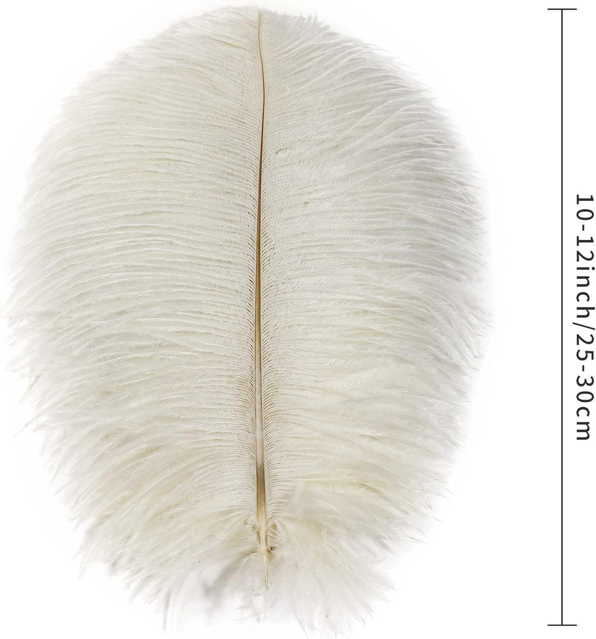 Ballinger Beige Ostrich Feathers Bulk - 24pcs 10-12inch Boho Feathers for vase，Wedding Party