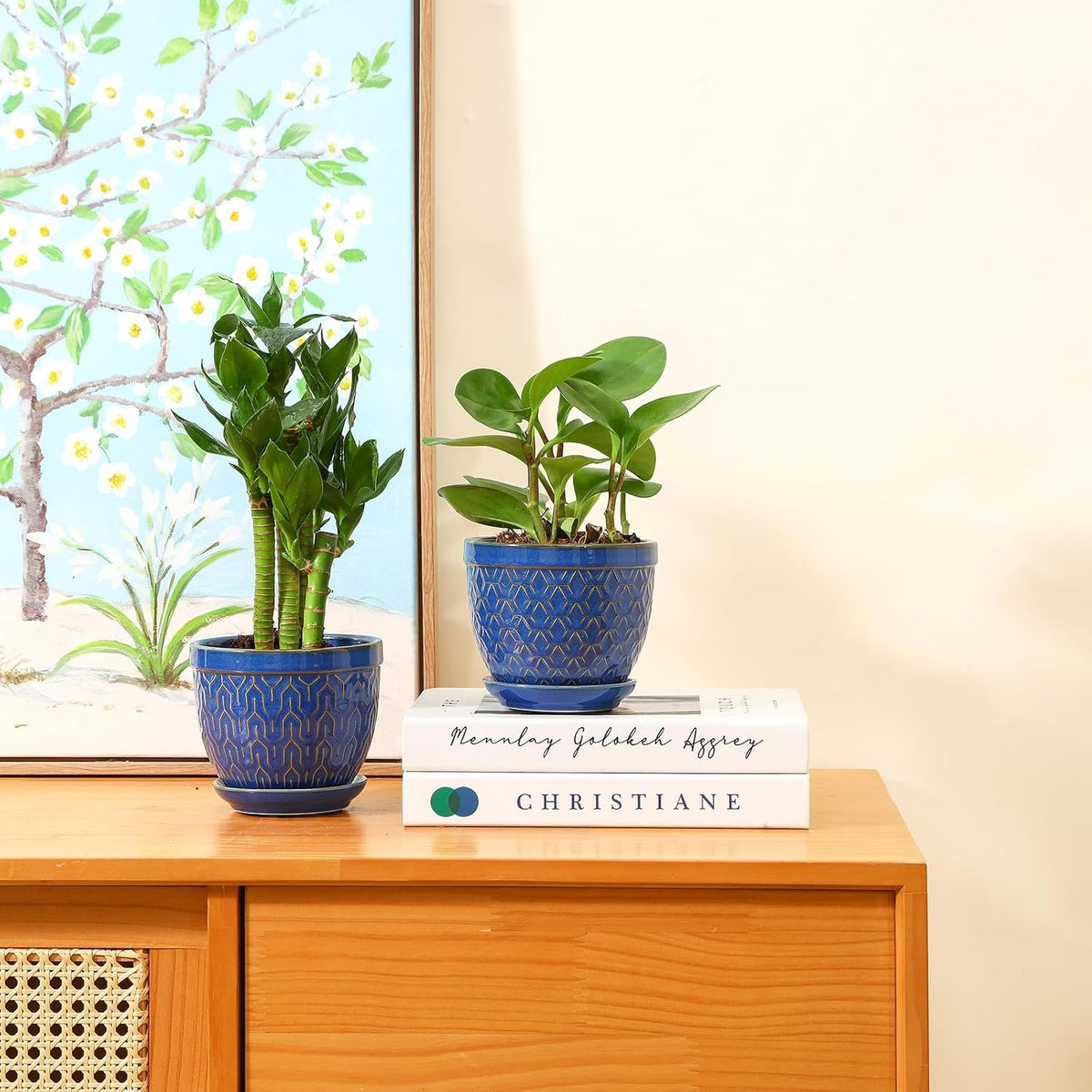 Sureasy Ceramic Plant Pots, 4.7 Inch Flower Pots for Indoor Plants, Succulent Pots with Saucer and