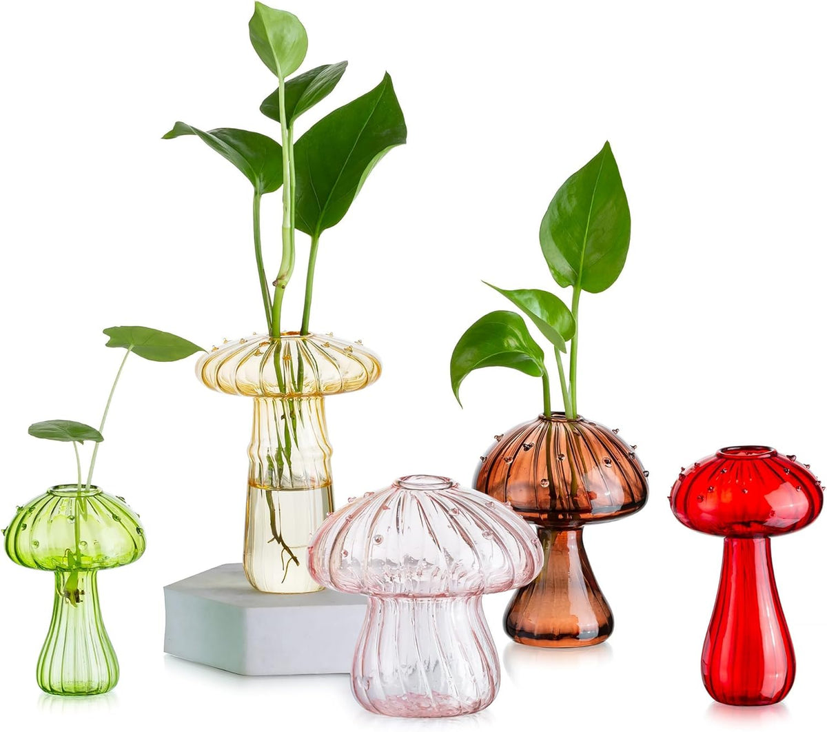 Glasseam Mushroom Glass Planter, Set of 5 Colored Plant Propagation Station, Mini Terrarium for