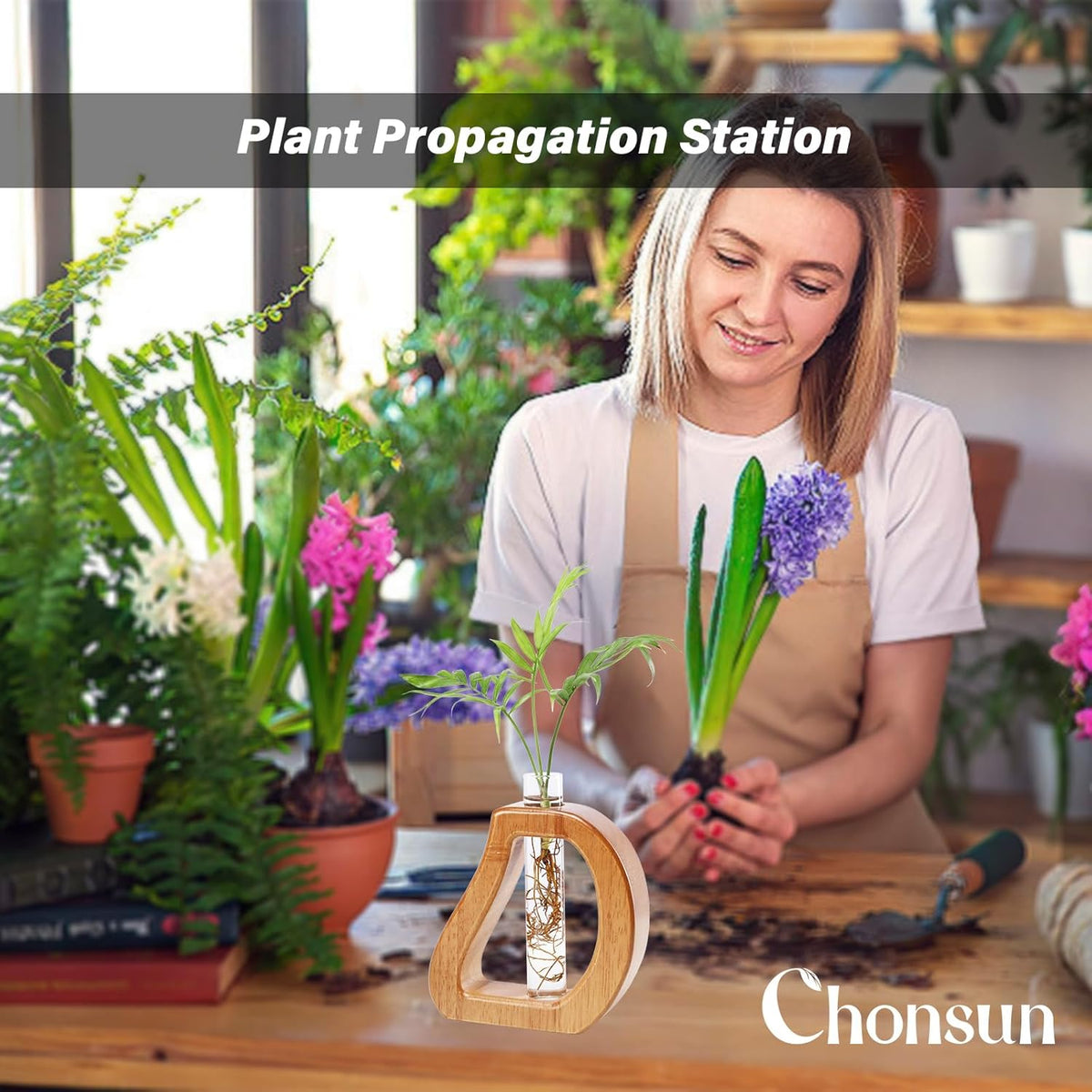 Plant Propagation Stations Wall Hanging Terrariums Home Decor Plants Glass Test Tube Planter with
