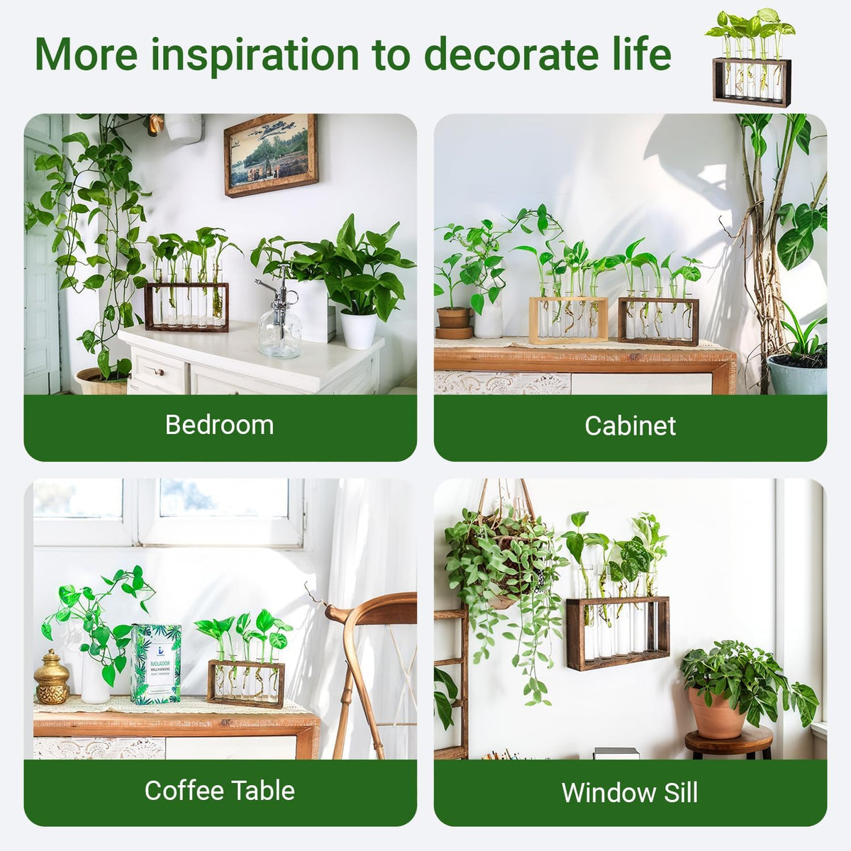 Ivolador Plant Propagation Station Terrariumin Wall Test Tube Vases Bud Tabletop Glass Wooden Stand