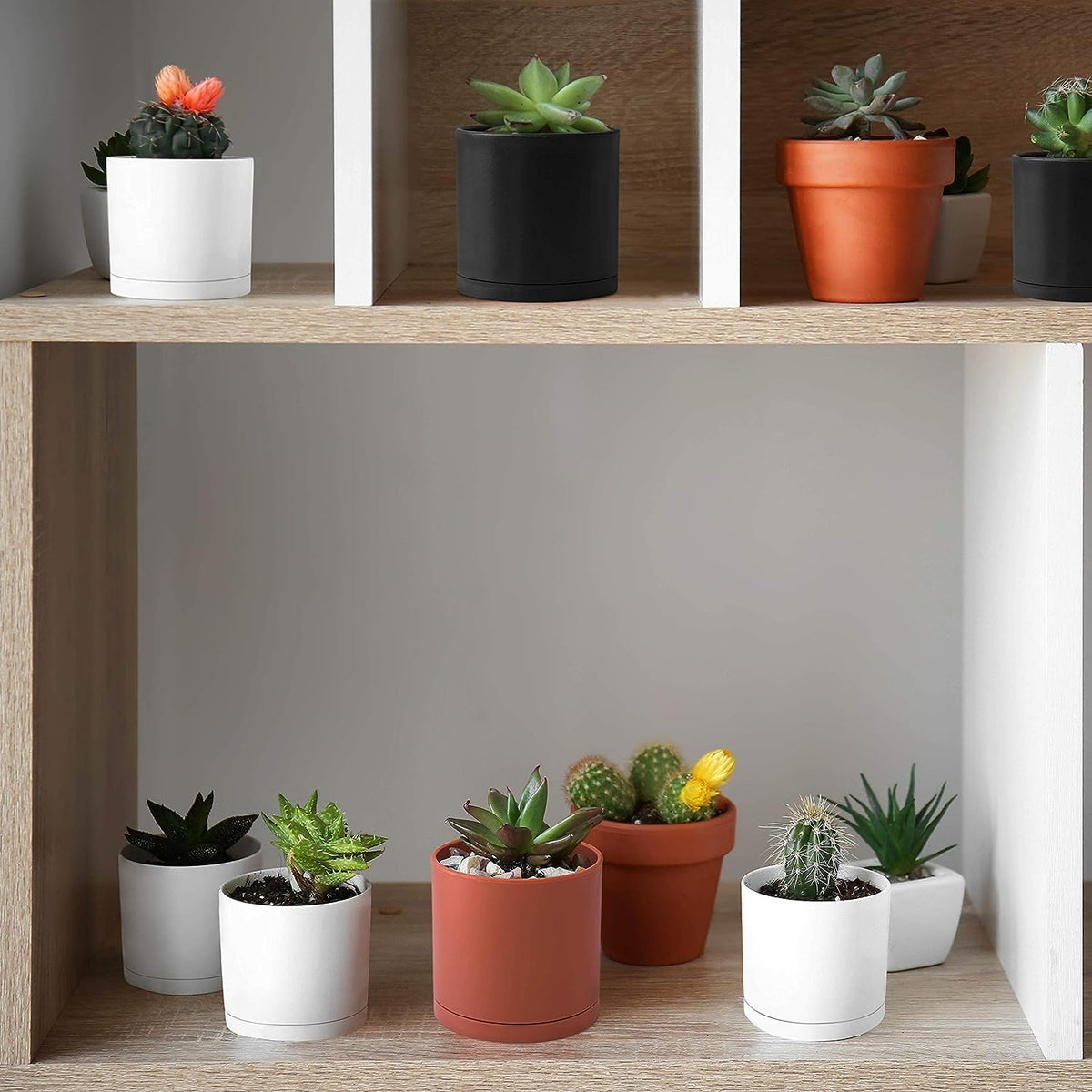 D'vine Dev 18 Pack 2.5 Inch Mini Plastic Plant Pots, Small Garden Planters for Plant with Drainage