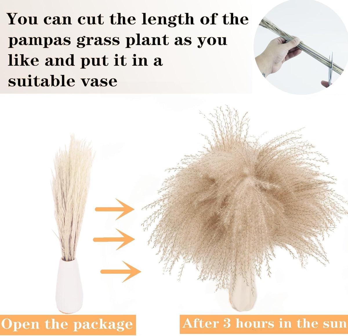 Dried Pampas Grass Decor, 120 PCS Pampas Grass with Bunny Tails Dried Flowers, Reed Grass Bouquet