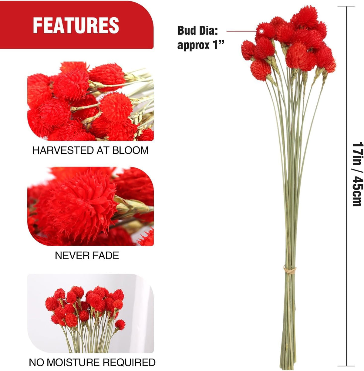 Dried Globe Amaranth Flower with Wheat Straw 40PCS Bouquet for Vase Home Decor Party DIY
