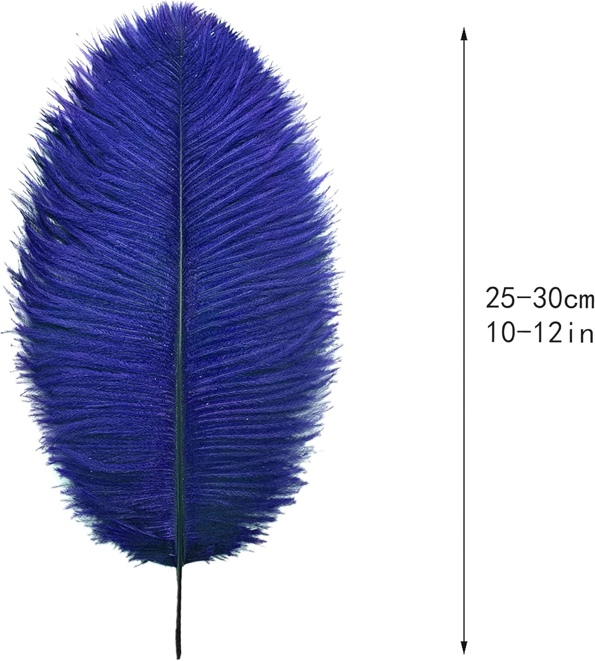 Ballinger Royal Blue Ostrich Feathers - 24Pcs 10-12inch Feathers for Party Centerpieces, Flower