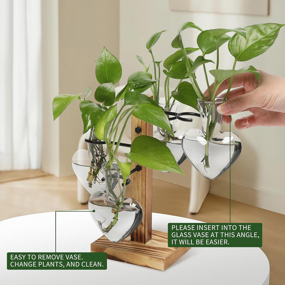 Plants Propagation Stations Plant Terrarium Kit Glass Planters for Indoor Plants House Plant