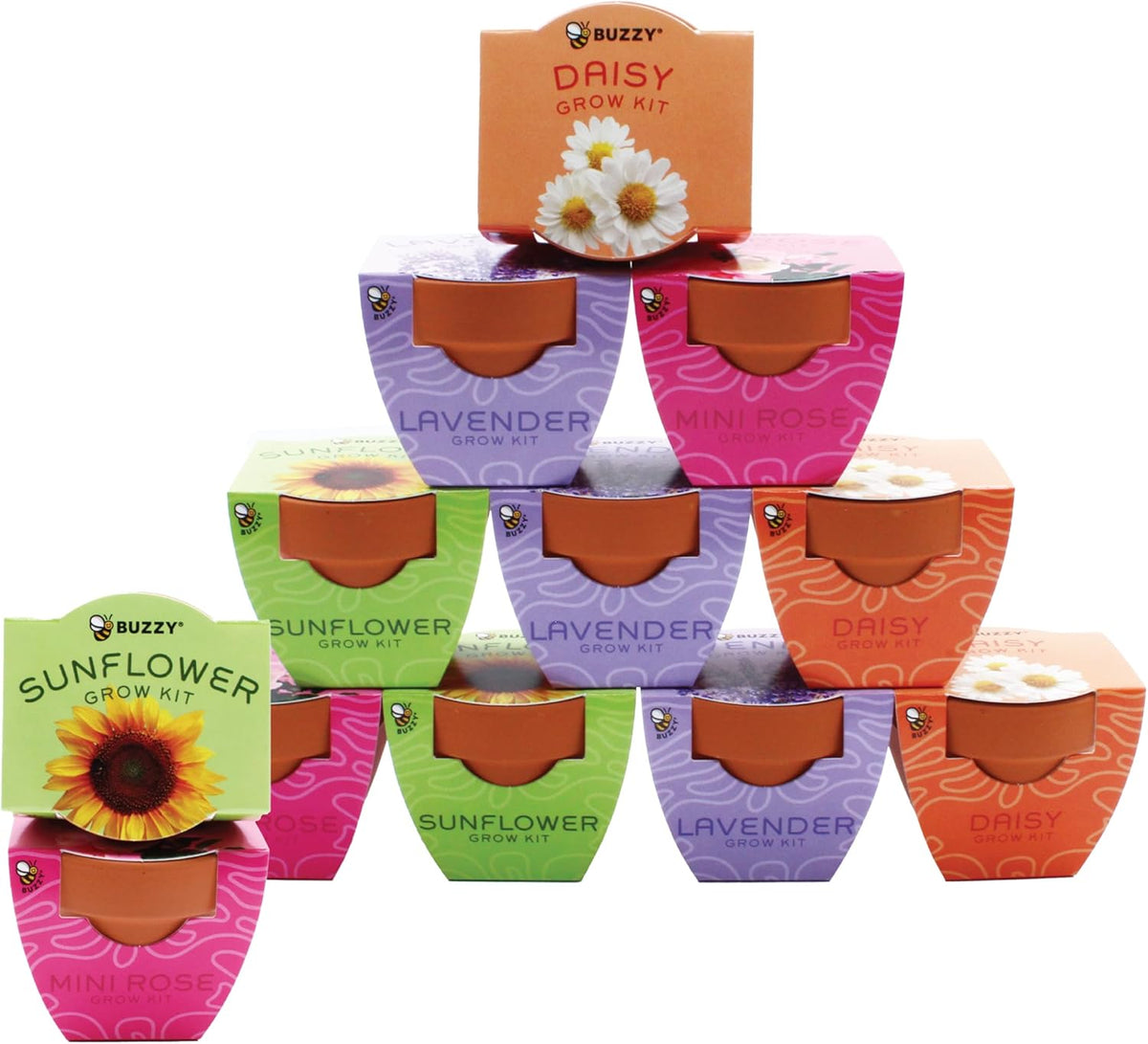 BUZZY Seeds Terracotta Mini Grow Pots | Flower Starter Kit for Kids & Adults | Assorted 12-Pack