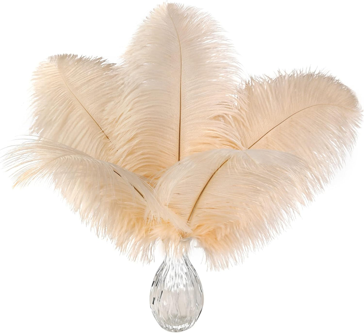 Ballinger Light Salmon Ostrich Feathers - 24pcs 10-12inch Feathers for vase，Wedding Party
