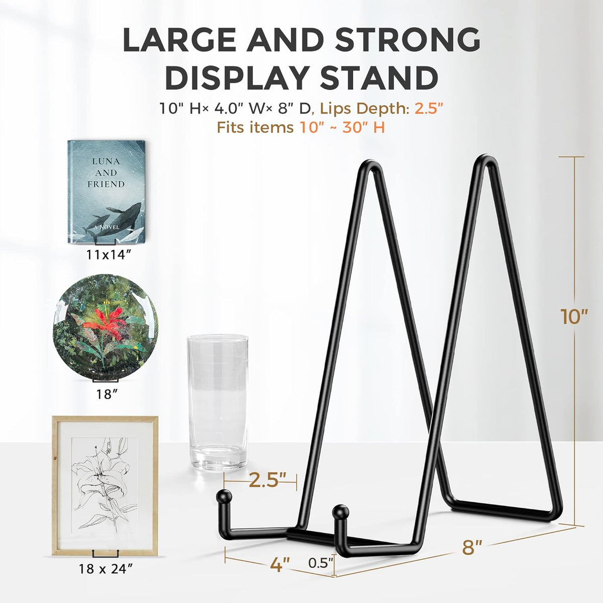 TR-LIFE 10 Inch Large Plate Stands for Display - Metal Plate Holder Display Stand + Picture Frame
