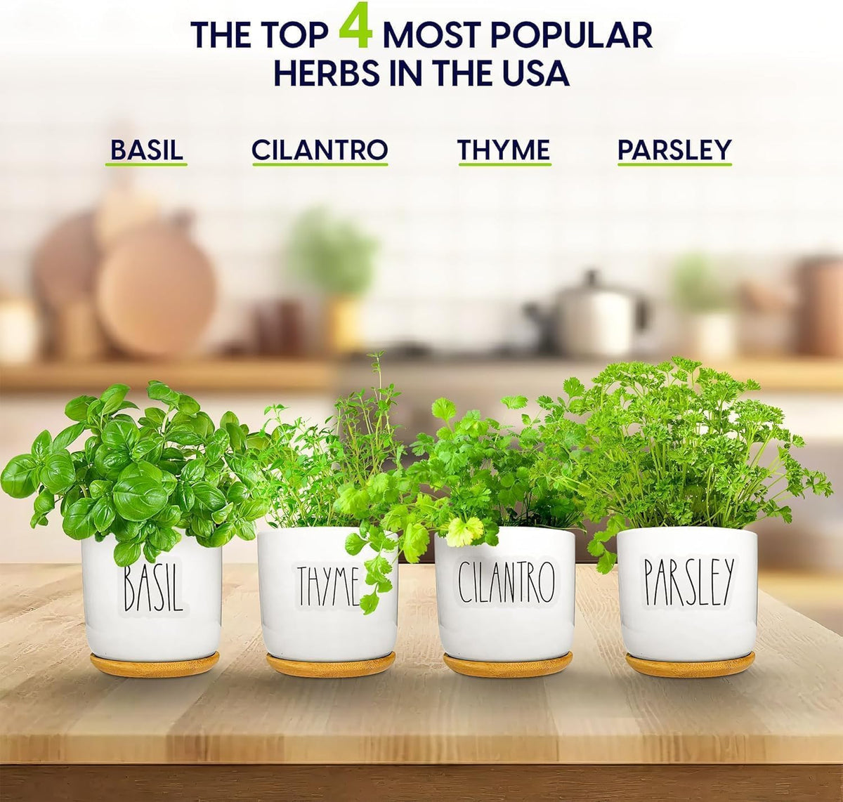 Deluxe Ceramic Indoor Herb Kit 4 Set. Variety Herbs for Indoor & Outdoor – Get Growing with Pots