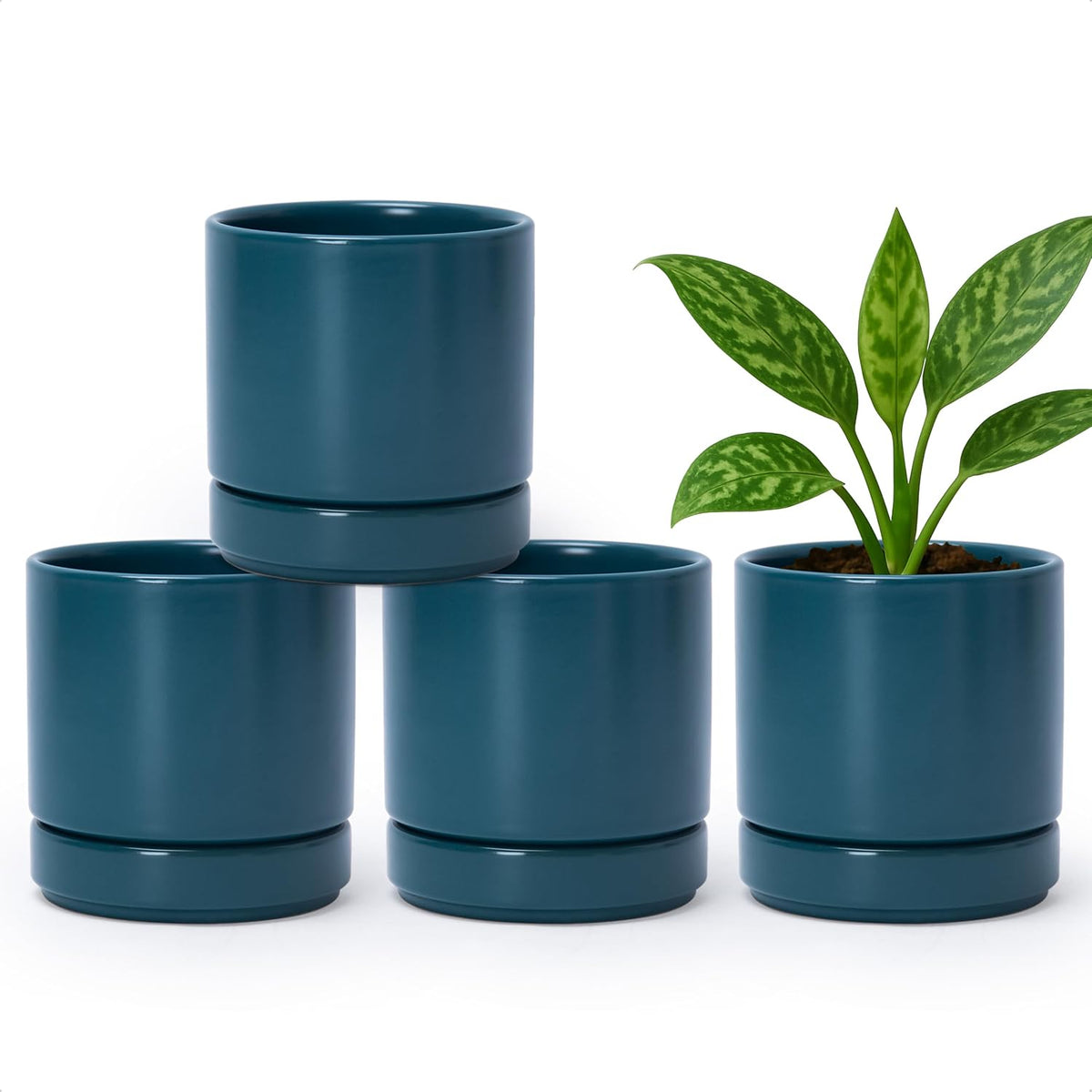 D'vine Dev Set of 4 Small Ceramic Plant Pots, 4.7 Inch Succulent Planter Pot for Plants with