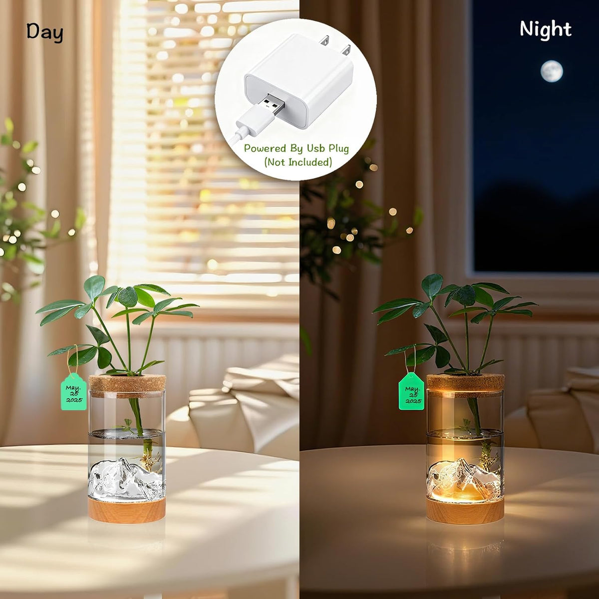 2Pcs Plant Propagation Station with Mountain-Shaped Bottom - Hydroponic Glass Vases, Wooden Base