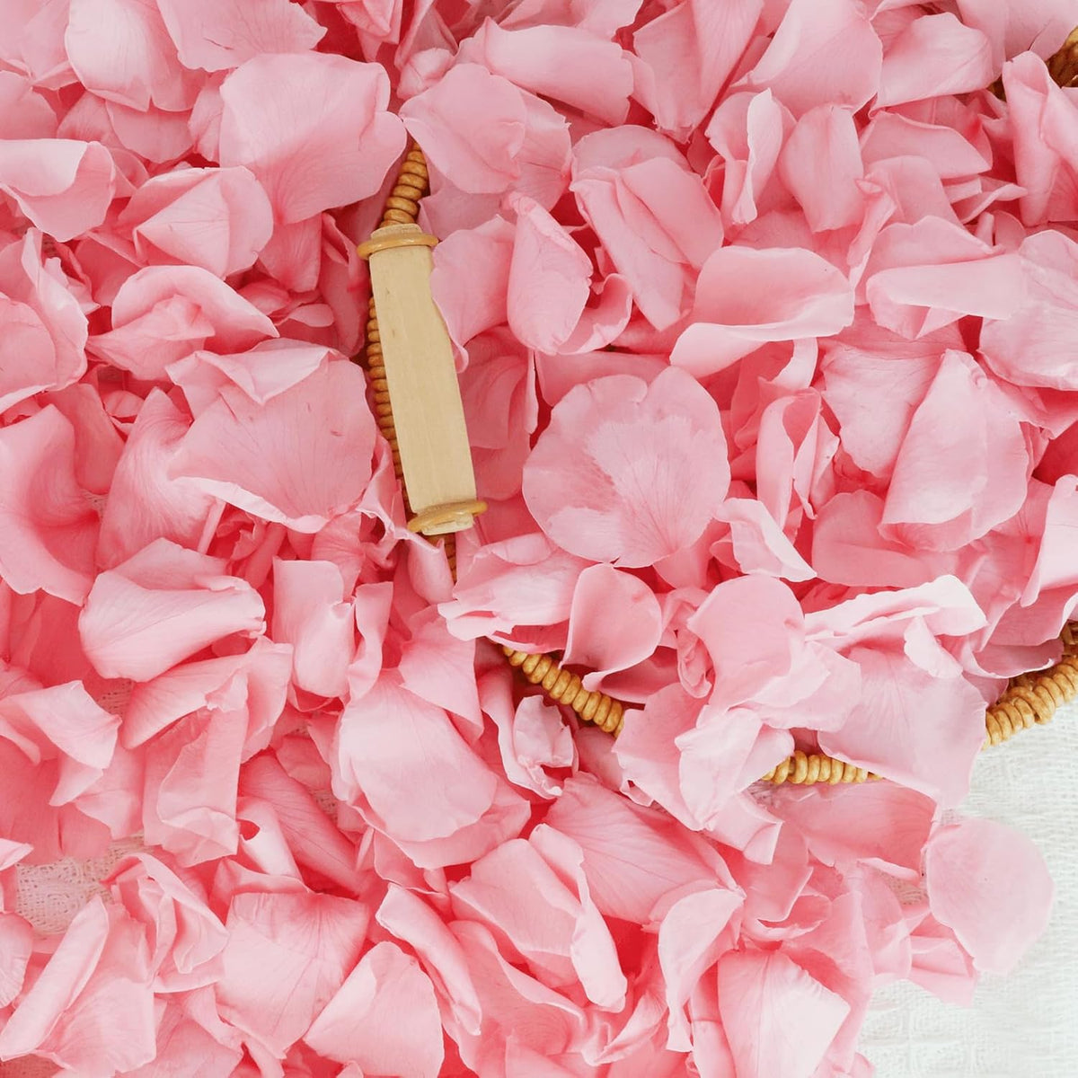 200Pcs Dried Real Pink Rose Petals, Preserved Flower Petals 1.75oz for Gifts Wedding Party Decor
