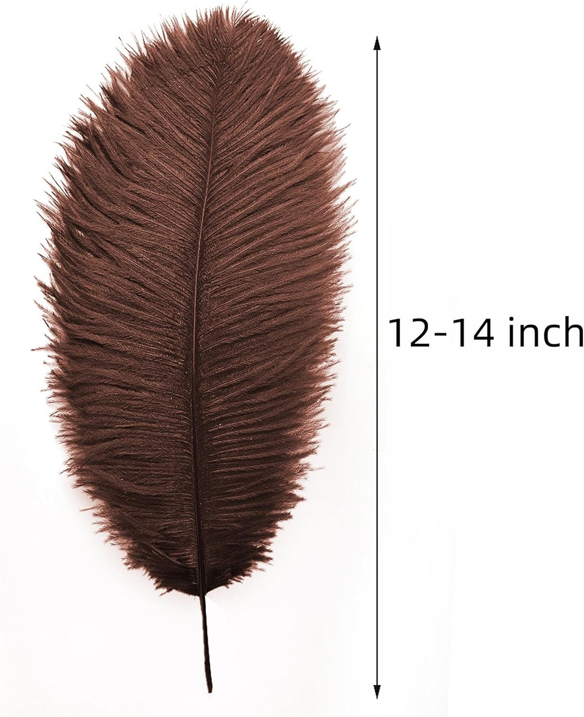 Ballinger Brown Big Ostrich Feathers - 24pcs 12-14inch Large Feathers for Party Centerpieces
