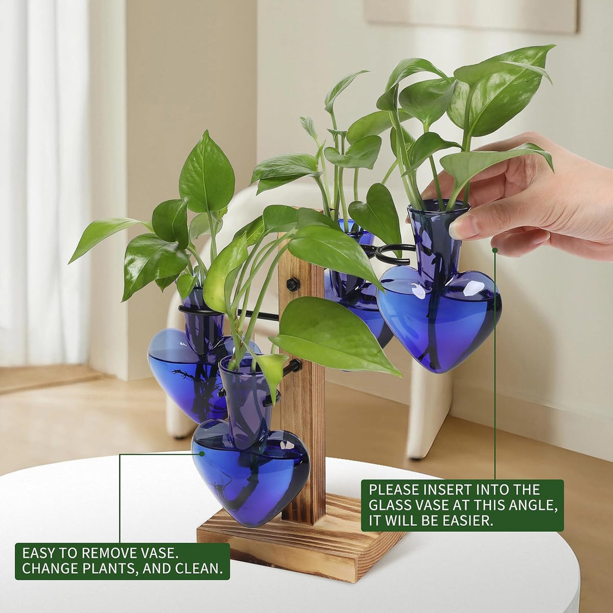 Plants Propagation Stations Plant Terrarium Kit Glass Planters for Indoor Plants House Plant
