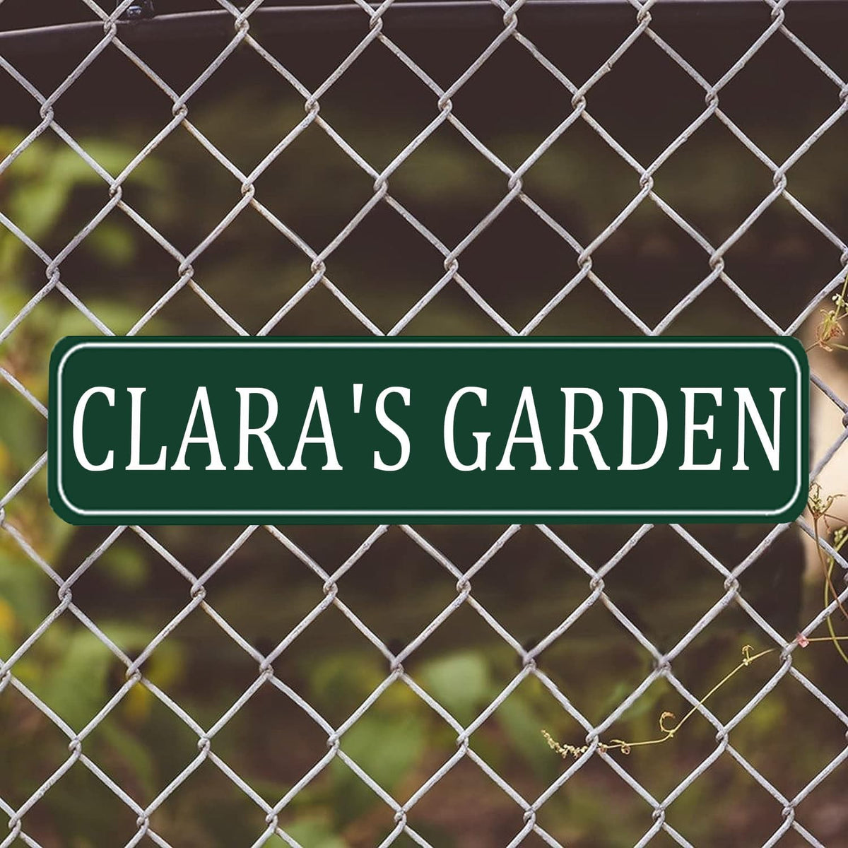 Custom Signs Outdoor Metal,Personalized Street Sign,Create Your Own