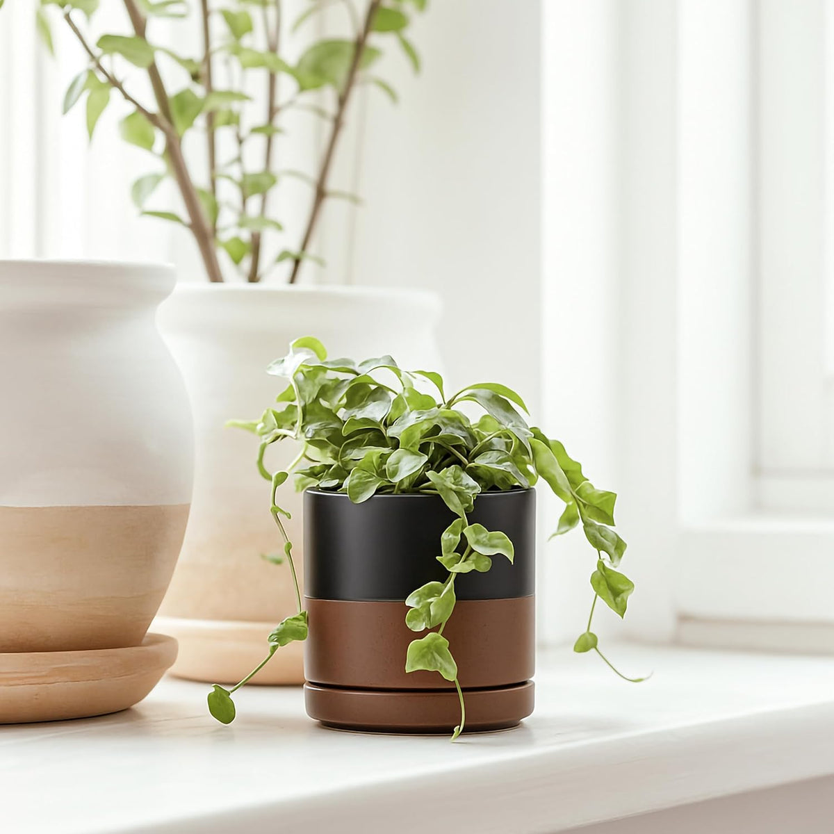D'vine Dev Set of 4 Small Ceramic Plant Pots, 3.5 Inch Succulent Planter Pot for Plants with