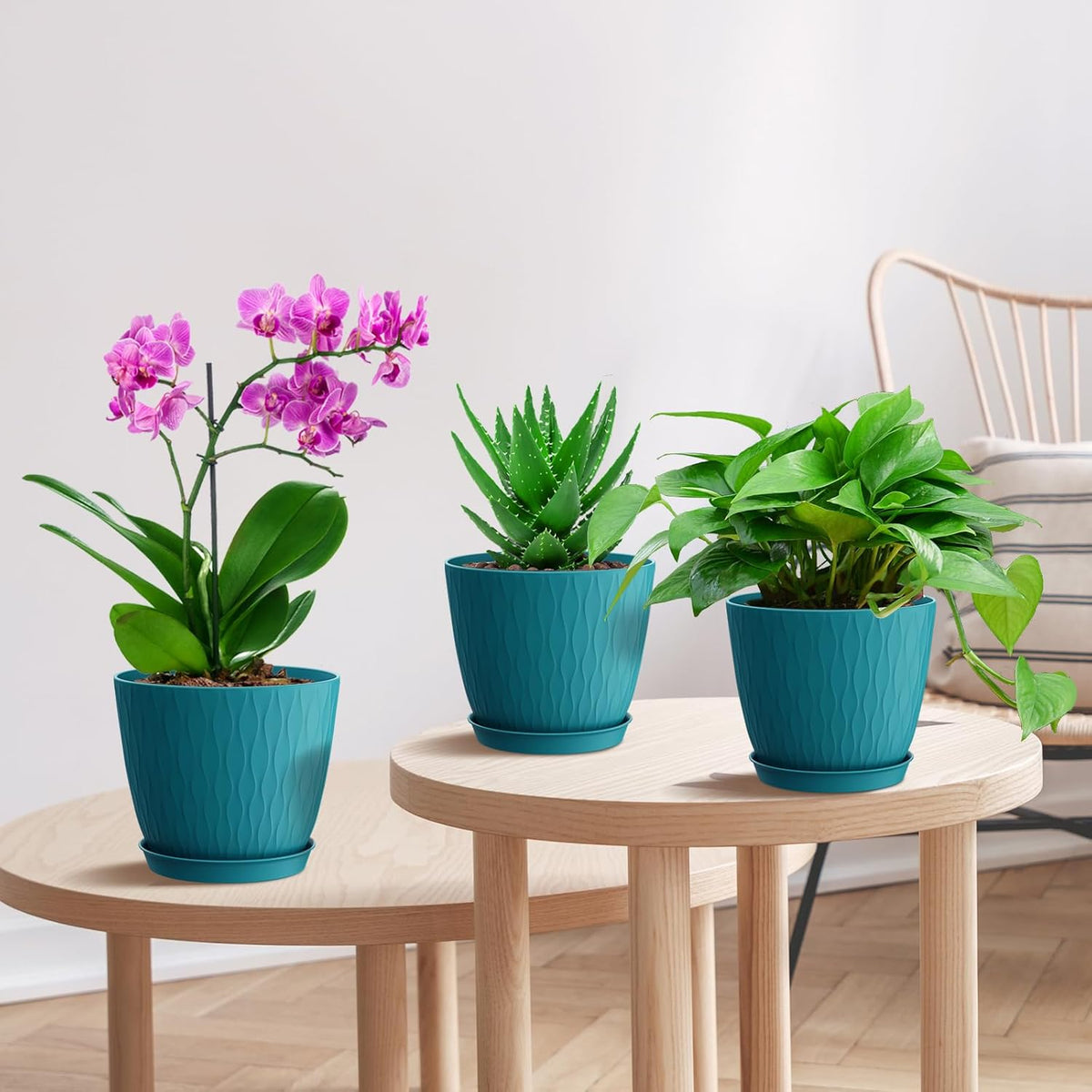 6 inch Plant Pots, 5 Pack Flower Pots with Drainage Holes and Saucers for Indoor Plants, Plastic
