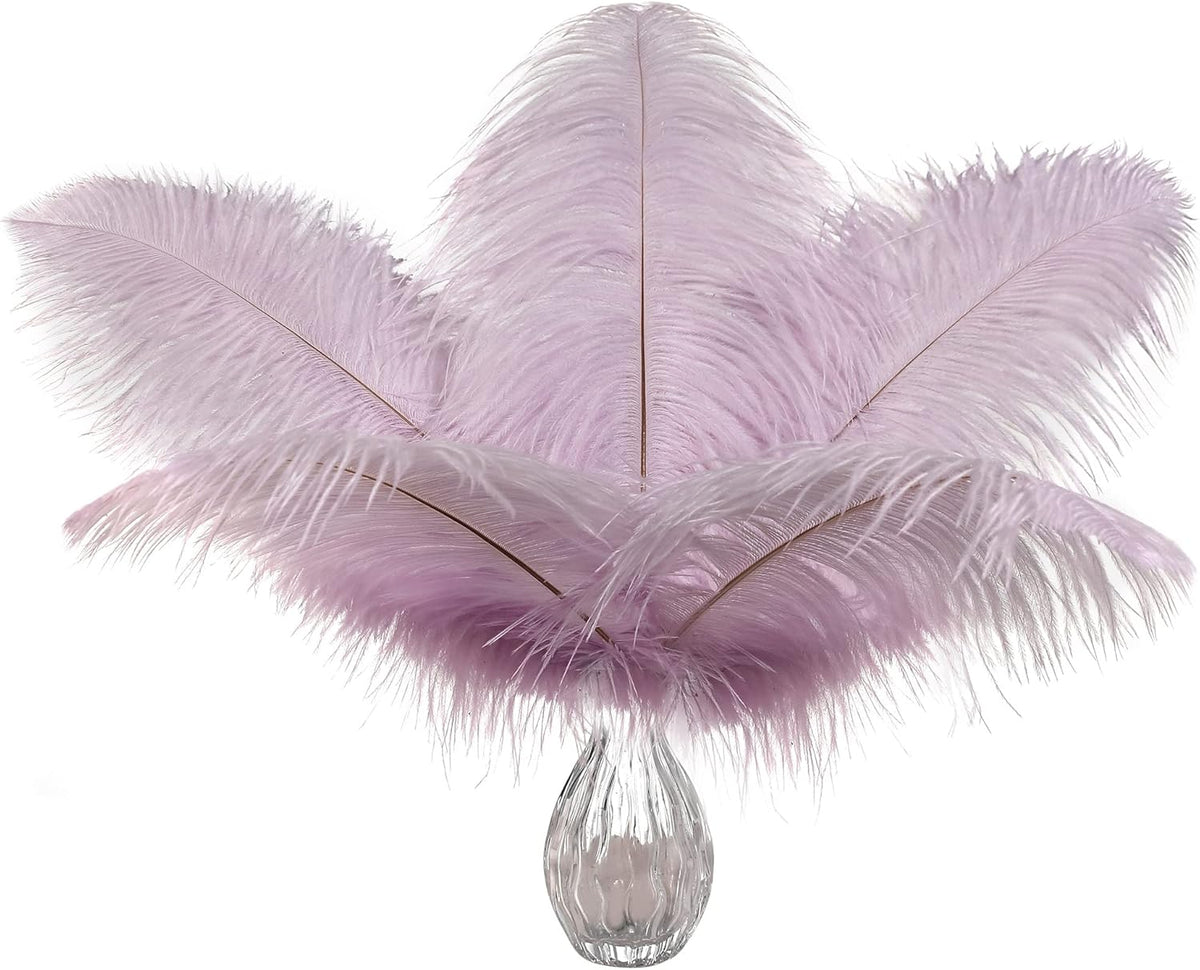 Ballinger Light Purple Ostrich Feathers - 24Pcs 10-12inch Lavender Feathers for Party