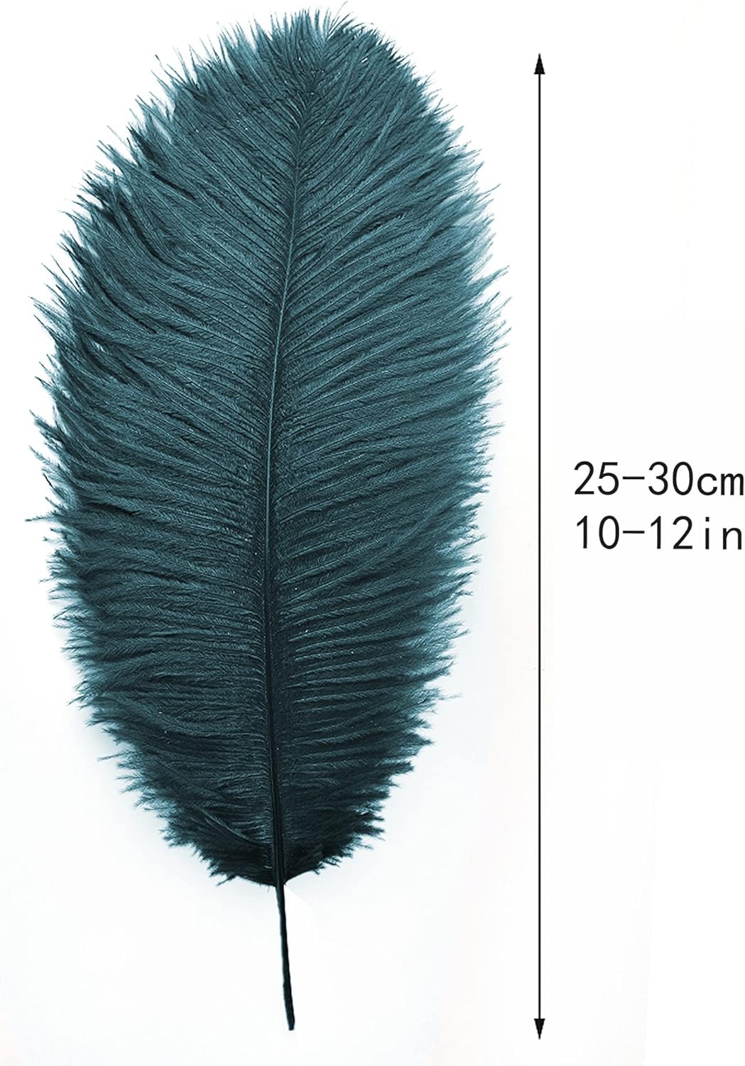 Ballinger Teal Ostrich Feathers Bulk - 24Pcs 10-12inch Feathers for Party Centerpieces, Flower