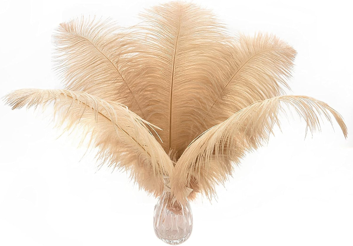 Ballinger Large Champagne Ostrich Feathers - 24pcs 12-14inch Boho Feathers for Vase and Home Decor