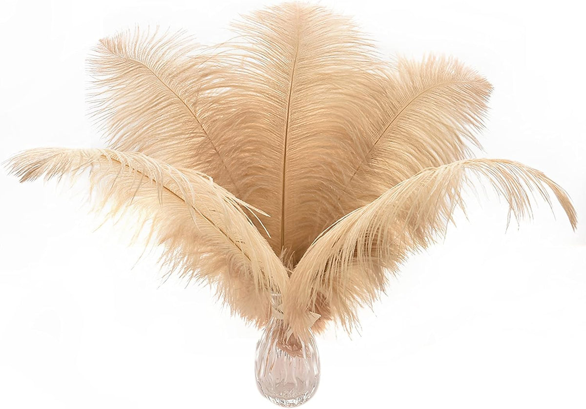 Ballinger Large Champagne Ostrich Feathers - 24pcs 8-10inch Boho Feathers for vase and Home Decor