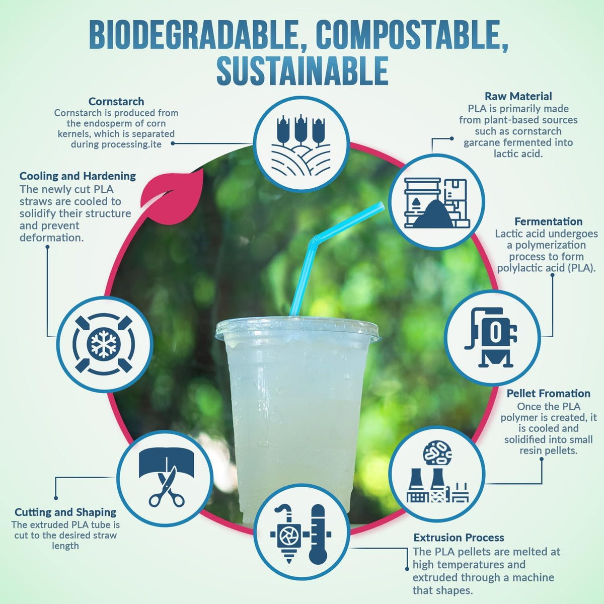 Weemium Compostable Straws Disposable 300 Pack | 100% Plant-Based Plastic-free, Disposable and