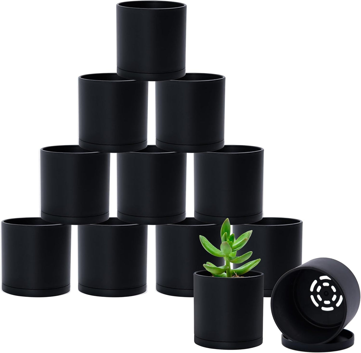 D'vine Dev 12 Pack 3.5 Inch Mini Plastic Plant Pots, Small Garden Planters for Plant with Drainage