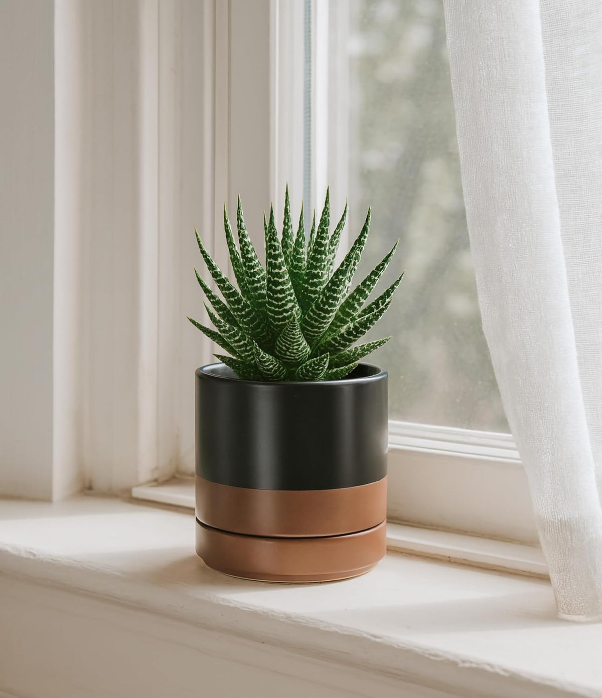 D'vine Dev Set of 4 Small Ceramic Plant Pots, 4.7 Inch Succulent Planter Pot for Plants with