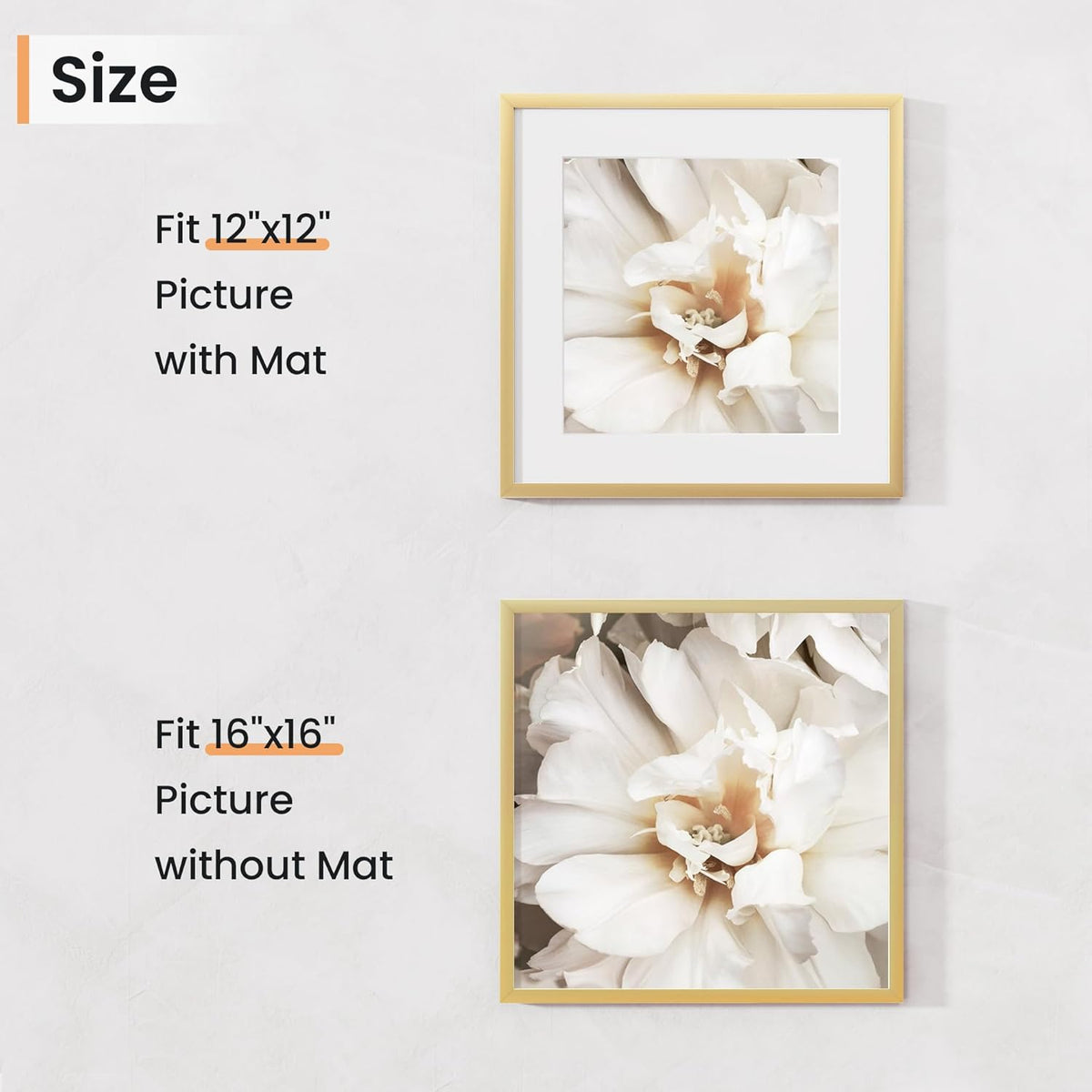 16x16 inch Picture Frame, 16x16 Photo Frames with 12x12 Removable Mat - High Definition Plexiglass