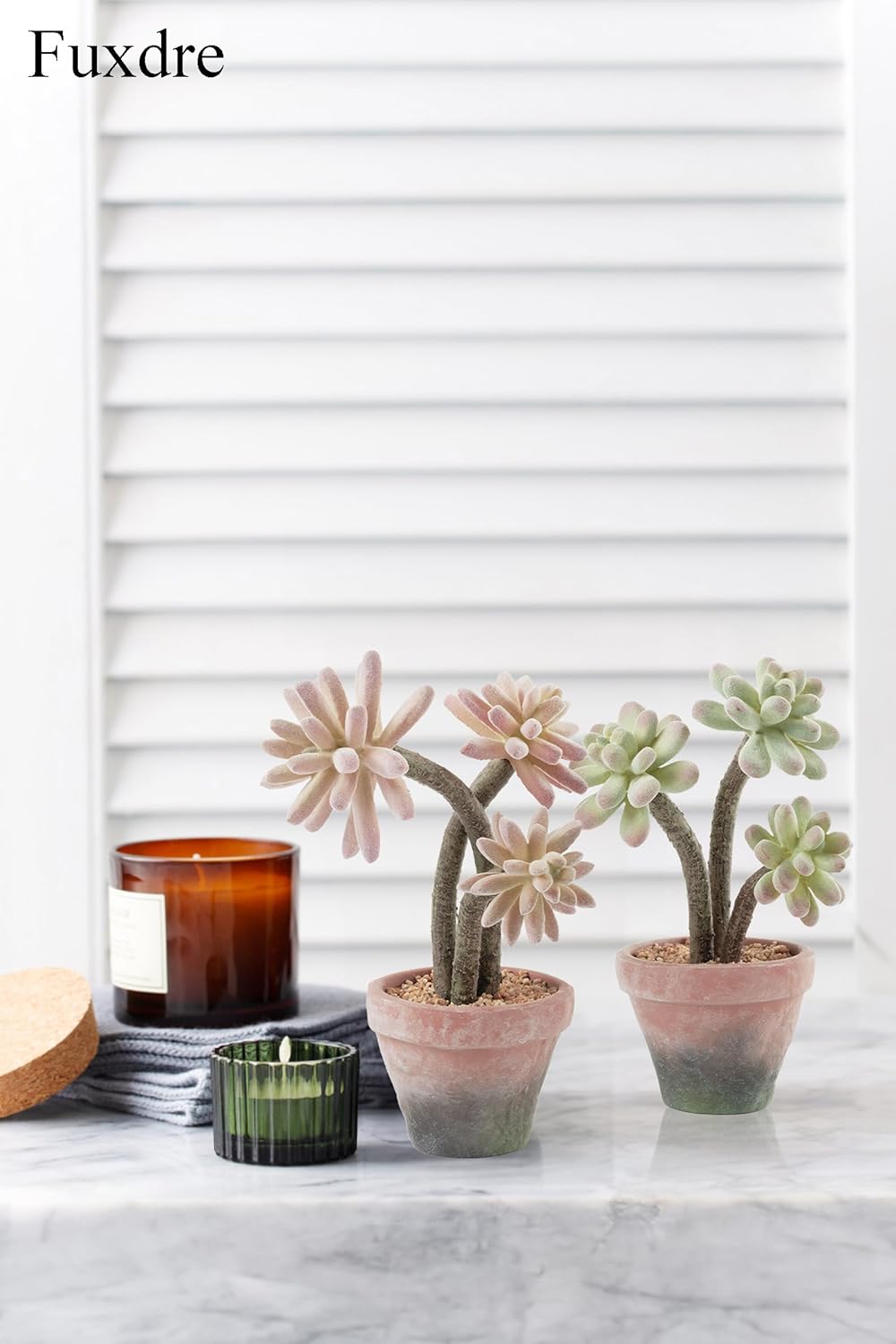 2-Pack Artificial Succulent Plants in Vintage Plastic Pots - Waterproof Fake Succulents Decor for