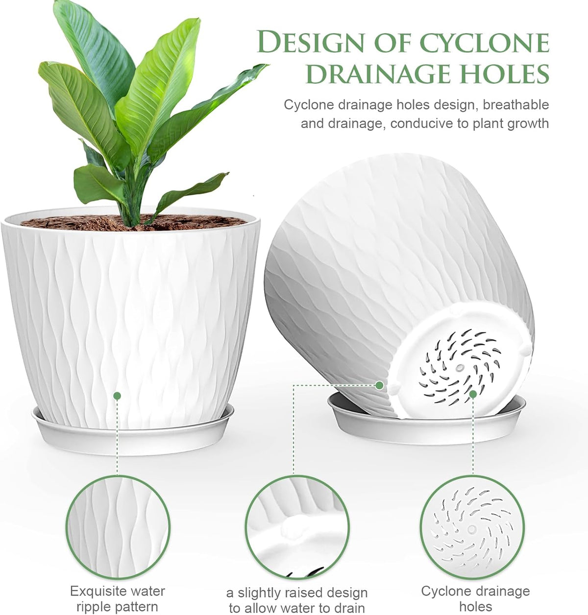 6 inch Flower Pots, 5 Pack Plant Pots with Drainage Holes and Saucers for Indoor Plants, Plastic
