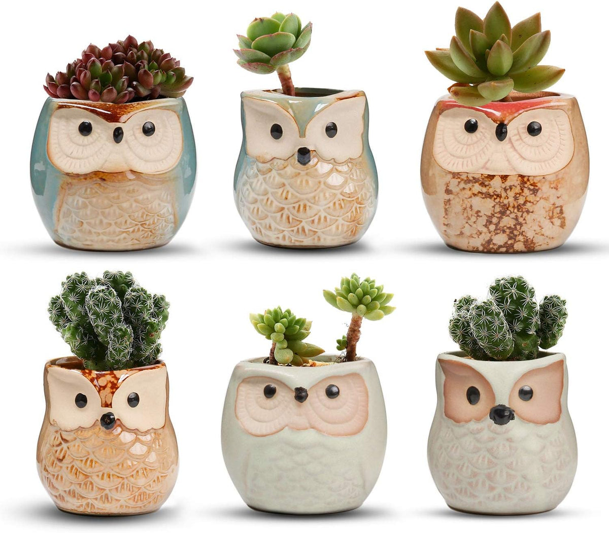 T4U 2.5 Inch Owl Ceramic Succulent Planter Pots with Drainage Hole Set of 6, Mini Cute Flower Pots