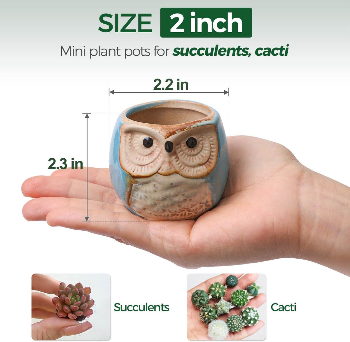 T4U 2.5 Inch Owl Ceramic Succulent Planter Pots with Drainage Hole Set of 6, Mini Cute Flower Pots