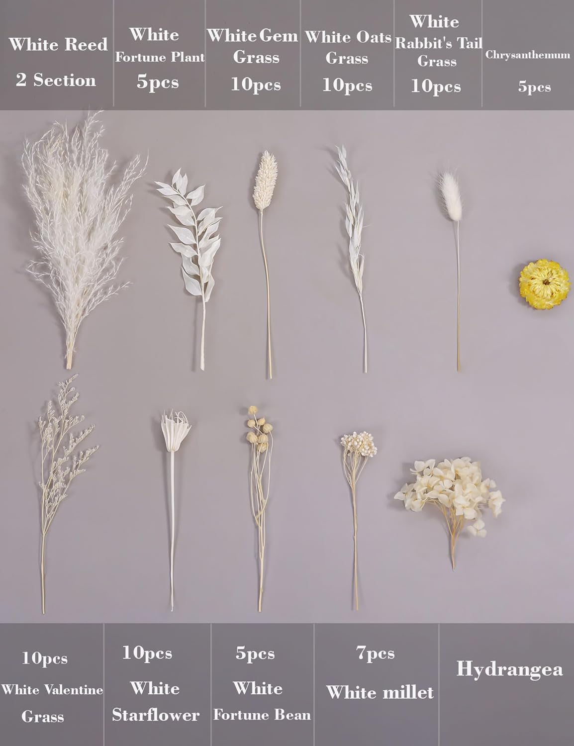 DIY Natural Dried Flower Kit Loose Dried Flowers for vases Off-White Dried Flowers with Stems