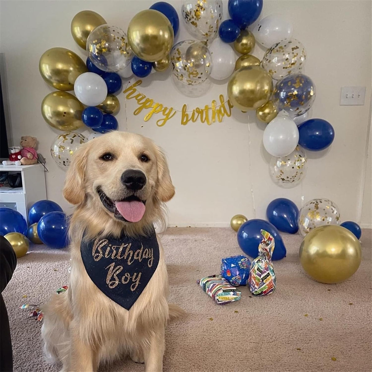 Balloons Navy Blue and Gold, 12 Inch Navy Blue Metallic Chrome Gold and Confetti Latex Balloons