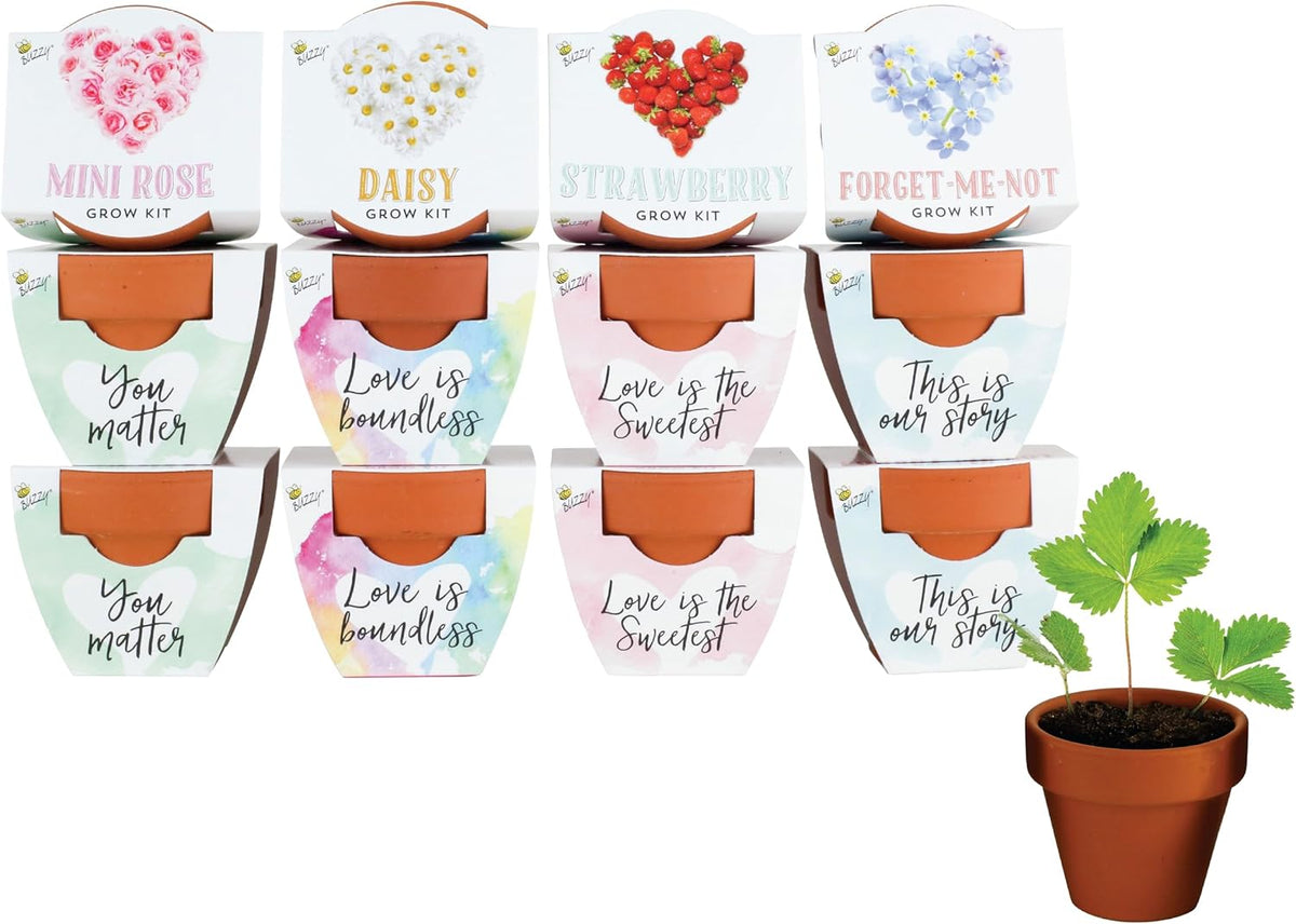 BUZZY Seeds Terracotta Mini Grow Pots Flower Plant Starter Kit – Love Collection Assorted 12-Pack